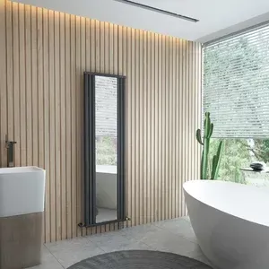 Güzgülü Radiator Radiatorlar (Seksiya-Panel)