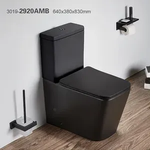 Unitaz Black Mat 8821B tək parça
