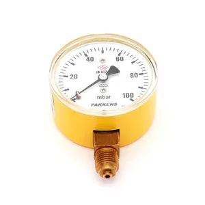 Qaz Tənzimləyici – Monometr Pakkens 100 mbar (Requlyator)